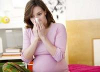 Пиносол: особенности применения у беременных женщин